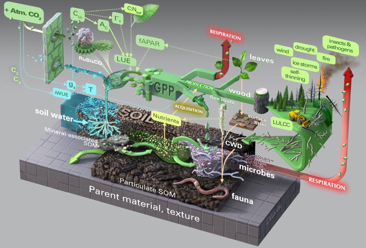 Victor's Carbon System Map